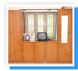 Plants: image 1 0f 4 thumb