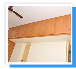 Plants: image 1 0f 4 thumb