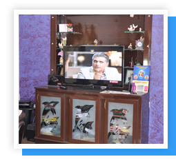 Plants: image 1 0f 4 thumb