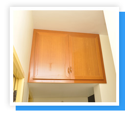 Plants: image 1 0f 4 thumb